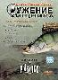 Диалоги о рыбалке: Ужение хищника (DVD)