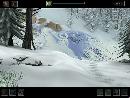 Скриншот игры Нэнси Дрю. Белый волк Ледяного ущелья