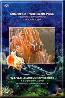 CD Аквариум 2. Тропические рыбы (DVD)