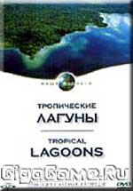 Наша планета. Тропические лагуны (DVD) (регион.)